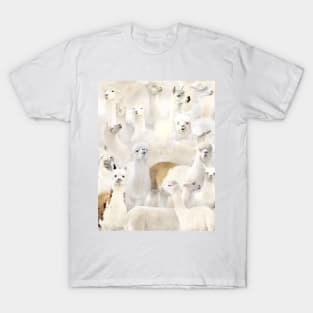 Alpacas T-Shirt